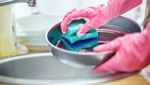 Hiii...! 15 Alat Dapur Ini Ternyata Jauh Lebih Jorok dari Dudukan Toilet