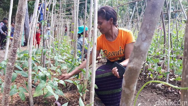 Cara Polisi Dekati Warga Perbatasan RI-Timor Leste Agar Taat Hukum