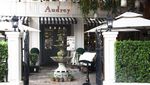 Jalan-jalan ke Bangkok? Ini 17 Kafe yang Asyik untuk Ngopi dan Hangout di Bangkok