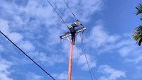 Pekerja PLN mengerjakan jaringan tegangan menengah 20 kv. (Dok. PT PLN Riau dan Kepulauan Riau)