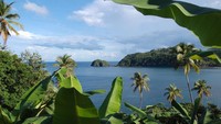 Lokasi keempat kembali lagi ke negara kepulauan di Karibia, Dominika. Negara ini memiliki Champagne Reef. Meski bukan minuman sampanye asli, bawah laut di negara ini memiliki gelembung panas yang membuat para penyelam seperti sedang mandi sampanye. Tidak mengherankan jika Champagne Reef menjadi salah satu spot snorkeling top dan paling tidak biasa dunia. Selain itu masih banyak yang bisa traveler lakukan, seperti hiking, mandi lumpur, juga menjelajah hutan dan air terjunnya di situs UNESCO sepanjang National Trail Waitukubuli (Foto: Ken Bosma/CNN Travel)
