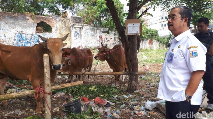 Wali Kota Sidak Tempat Penjualan Hewan Kurban di Tanah Abang