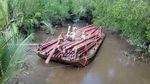 Foto: Perjuangan Terangi Pelosok Riau, Arungi Sungai Hingga Masuk Lubang