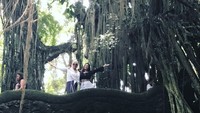 Ashley Graham juga mengunjungi Ubud Monkey Forest dan berinteraksi dengan para monyet. Ashley pun dalam insta storynya mengunggah video sedang memberi makan seekor monyet (Instagram/theashleygraham)