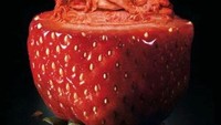 Tak mudah mengukir strawberry karena teksturnya lembek. Tapi seniman ini berhasil membuat ukiran manusia yang rumit dengan strawberry. Foto: Istimewa