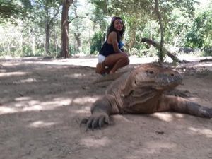 Halo Komodo!