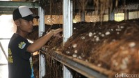 Kelompok usaha ini dibawah pembinaan Pertamina EP Asset 3 Subang Field.