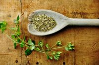 Oregano.