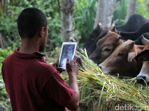 Berkurban Kini Bisa Via Online, Bagaimana Hukumnya dalam Islam?