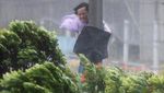 Ganasnya Topan Hato yang Tewaskan 12 Orang di Hong Kong dan Macau