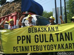 Petani Tebu di Yogyakarta Demo, Harga Gula Rendah