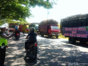 Tolak PPN Gula, Ratusan Truk Pengangkut Tebu Parkir di Pinggir Jalan