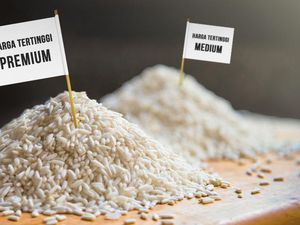 Ini Perbandingan Harga Beras RI dengan Negara ASEAN Lain