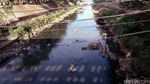 Sungai Ciliwung di Manggarai Berbuih