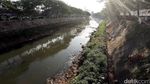 Sungai Ciliwung di Manggarai Berbuih