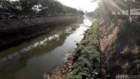 Sampah plastik tampak tersangkut di pinggir sungai.