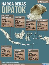 Pemerintah Patok Harga  Beras  dari Jawa Hingga Papua