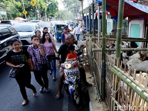 Anies Larang Penjualan Hewan Kurban di Trotoar