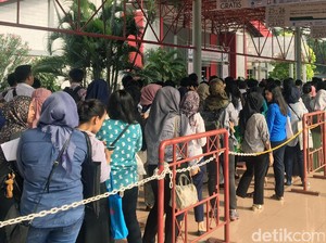 Dilema Fresh Graduate, Lamaran Ditolak Karena Belum Pengalaman