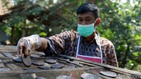 Seorang pekerja mengeringkan terasi di bawah sinar matahari.