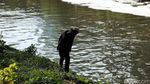 Sungai Ciliwung di Manggarai Berbuih