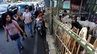 Penampakan pedestrian yang dijadikan lapak penjualan hewan kurban di kawasan Cikini, Jakrta, Jumat (25/8/2017).