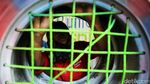 Foto: Ban Bekas Disulap Jadi Kursi Cantik