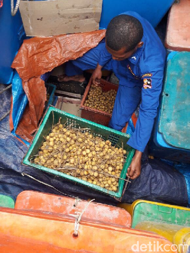 Di kapal tersebut juga ditemukan 30 keranjang berisi buah kelengkeng