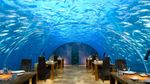 Kayak Apa Ya Makanan Harganya Puluhan Juta Rupiah? Ini Dia 15 Restoran Paling Mahal di Dunia!