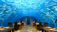 Restoran Ithaa Undersea di Maldives bukan hanya suguhkan pemandangan bawah laut istimewa. Sajian berkualitas nan mahal juga jadi daya tarik restoran. Sajian siput pedas dan tenderloin di sini, misalnya, mencapai 320 USD (Rp 4,2 juta) per menu.