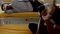 Sedangkan jumlah korban luka tak terhitung/Foto: AFP