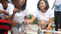 Bibit terumbu karang ditancapkan pada kerangka pipa paralon sebelum ditenggelamkan ke laut,di Kawasan Pulau Pramuka, Kepulauan Seribu, Jakarta, kemarin. Kegiatan tersebut digagas oleh  PT Karya Abadi Bakti sebagai bentuk dukungan terhadap program Pekan Seribu Maritim Pemprov DKI.  