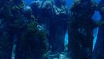 Foto: Laut yang Berisi 500 Patung
