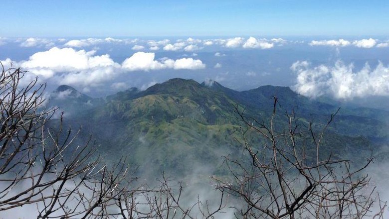 Unduh 75 Koleksi Gambar Gunung Hutan Terbaik HD