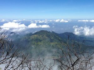 4 Jalur Pendakian Gunung Lawu: Medan, Rute dan Tips Aman Mendaki