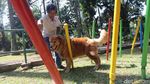 Ketika Para Gukguk Ngumpul Ramai-ramai
