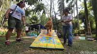 Para pecinta anjing berkumpul dan meramaikan Paw Day yang diselenggarakan Jakarta Animal Aid Network (JAAN) di Taman Langsat, Jakarta, Minggu (27/08/2017). Dalam acara tersebut digelar juga edukasi, cek kesehatan, serta tempat bermain bagi para anjing kesayangan. 