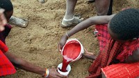Orang Samburu di Kenya mengonsumsi darah hewan selama berabad-abad. Biasanya darah dicampur dengan susu untuk menghasilkan minuman kaya nutrisi. Foto: Istimewa