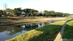 Gubernur Bangkok Mau Belajar, Begini Kondisi Sungai di Jakarta