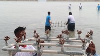 Kegiatan yang diselenggarakan oleh Pt. Karya Bahari Abadi sebagai distributor resmi Yamaha Marine product ini sekaligus memperingati Hari Maritim Nasional.  