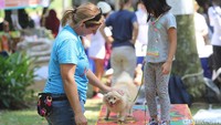 Para pecinta anjing berkumpul dan meramaikan Paw Day yang diselenggarakan Jakarta Animal Aid Network (JAAN) di Taman Langsat, Jakarta, Minggu (27/08/2017). Dalam acara tersebut digelar juga edukasi, cek kesehatan, serta tempat bermain bagi para anjing kesayangan. 