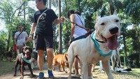 Para pecinta anjing berkumpul dan meramaikan Paw Day yang diselenggarakan Jakarta Animal Aid Network (JAAN) di Taman Langsat, Jakarta, Minggu (27/08/2017). Dalam acara tersebut digelar juga edukasi, cek kesehatan, serta tempat bermain bagi para anjing kesayangan. 
