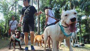 Ketika Para Gukguk Ngumpul Ramai-ramai