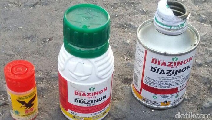 Sekeluarga Boyolali Keracunan Ternyata Obati Kutu dengan Pestisida