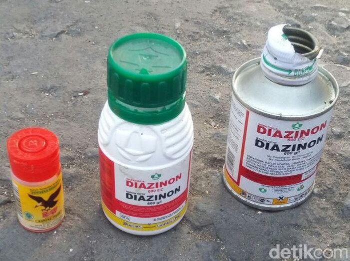 Kata Dokter Soal Bahaya Penggunaan Pestisida Sebagai Obat Kutu