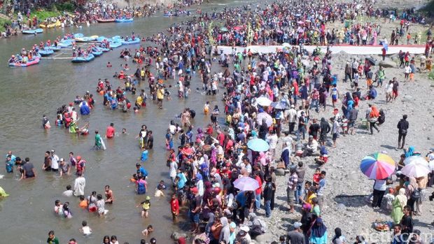 Pesta Parak Iwak, Ribuan Warga Berebut 2,3 Ton Ikan di Sungai Serayu