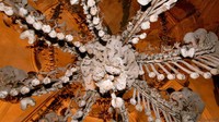 Kapel Sedlec Ossuary berada di jalan starosedlecka, Kutna Hora, Republik Ceko. Bila ditempuh dari Kota Praha, kita menempuh jarak 70 Km (Michal Cizek/BBC Travel)