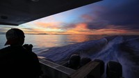 Juru bicara Menteri Koordinator Bidang Kemaritiman dan Investasi Luhut Binsar Pandjaitan, Jodi Mahardi, pun memberikan tanggapan. Jodi menegaskan pemerintah telah memiliki peraturan perundangan yang menyatakan pulau-pulau kecil tidak bisa dimiliki pihak mana pun secara utuh. 