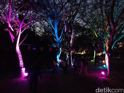 Seru-seruan di Sound of Tri