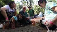 Para pecinta anjing berkumpul dan meramaikan Paw Day yang diselenggarakan Jakarta Animal Aid Network (JAAN) di Taman Langsat, Jakarta, Minggu (27/08/2017). Dalam acara tersebut digelar juga edukasi, cek kesehatan, serta tempat bermain bagi para anjing kesayangan. 